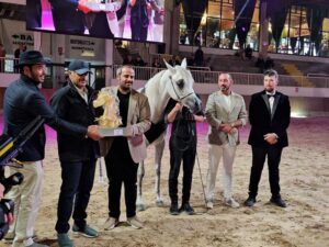 Straight Egyptian Royal World Cup Vermezzo Al Thani Family First Prize