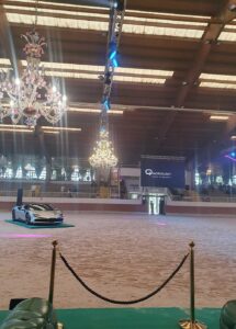 Straight Egyptian Royal World Cup Vermezzo Arabian Horse